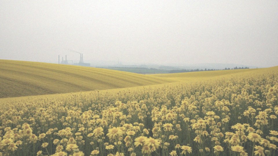 Skąd wynika napływ mas powietrza z Europy Wschodniej?