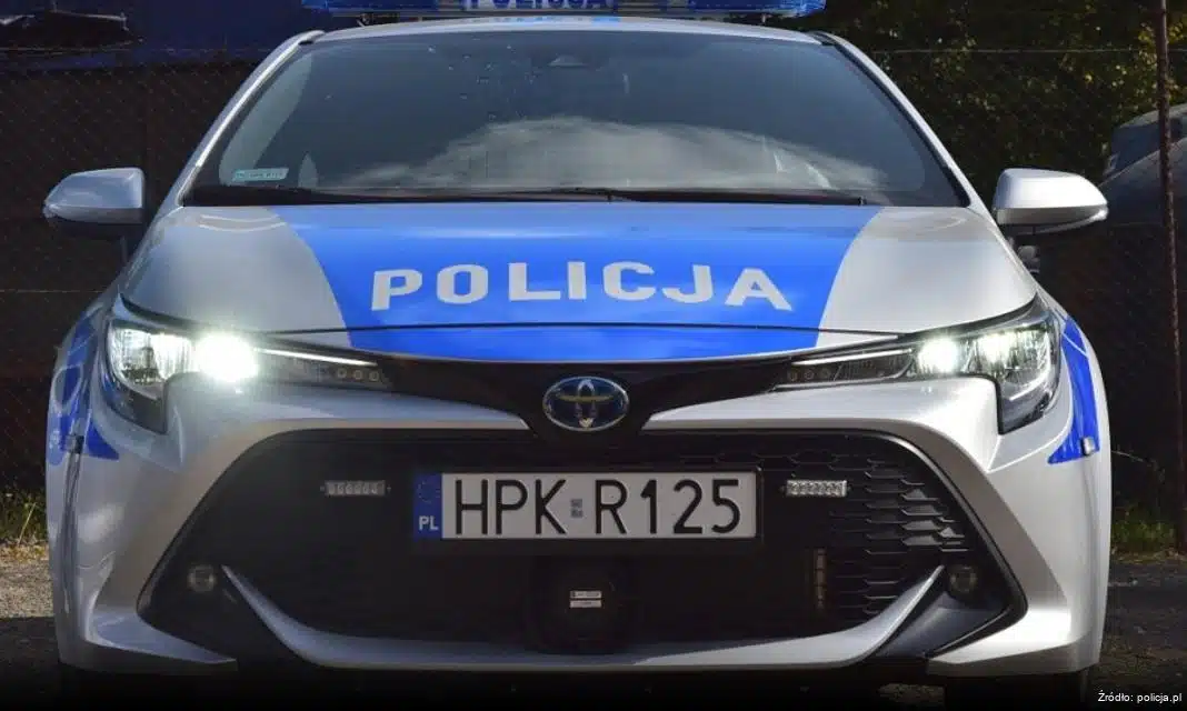 Tymczasowe aresztowanie mężczyzny za uśmiercenie psa w Gniewinie