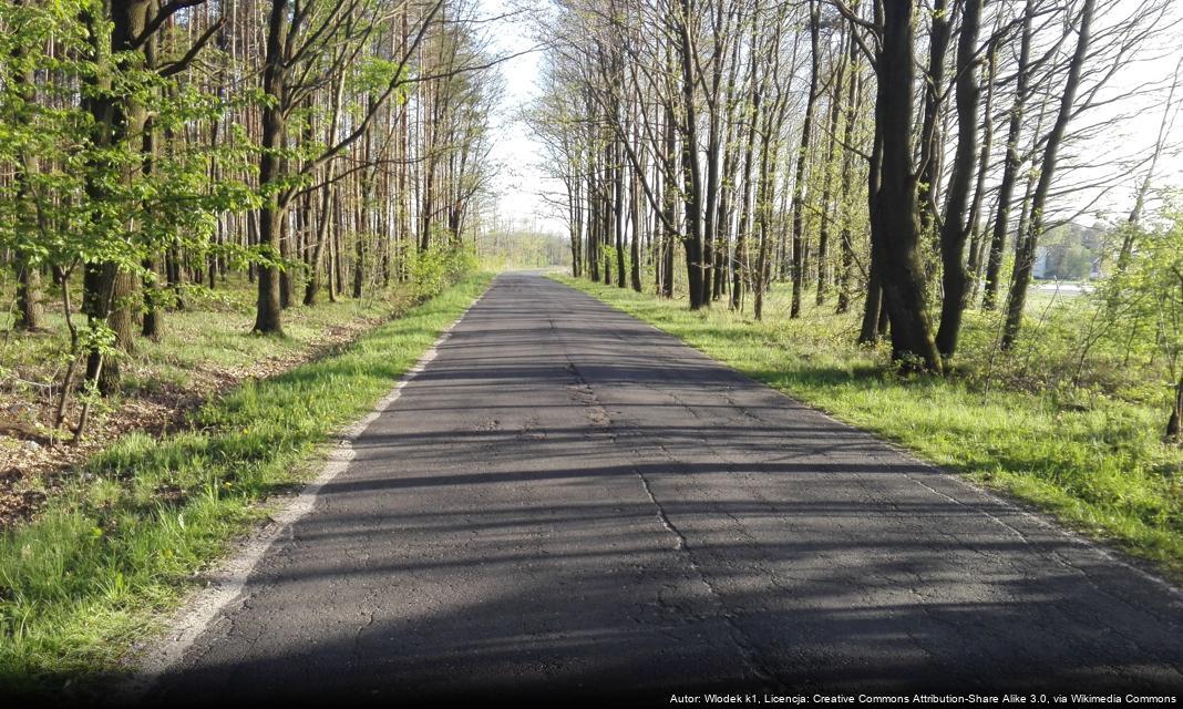 Ochrona Środowiska w Rumi – Propozycje Dla Mieszkańców