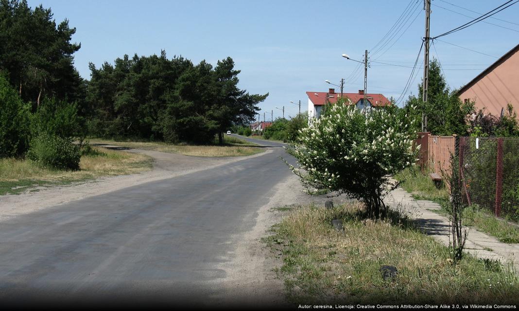 Rumia zyska nowe stacje i rowery w systemie MEVO